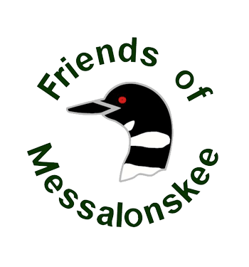 Friends of Messalonskee - Finding balance on the water throughout Belgrade, Oakland, and Sidney